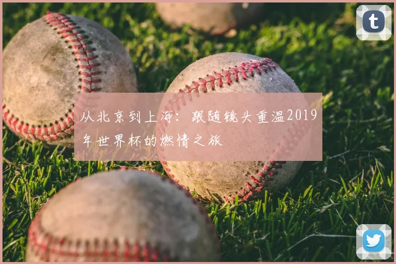 从北京到上海：跟随镜头重温2019年世界杯的燃情之旅