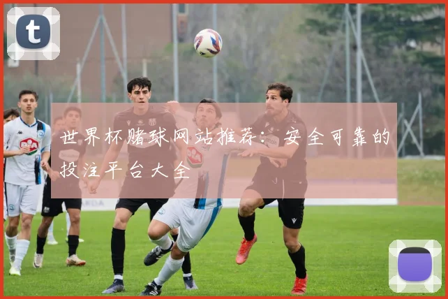 世界杯赌球网站推荐:安全可靠的投注平台大全