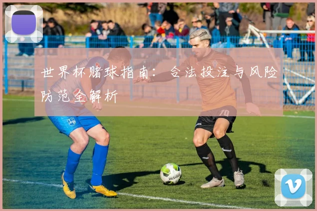 世界杯赌球指南：合法投注与风险防范全解析