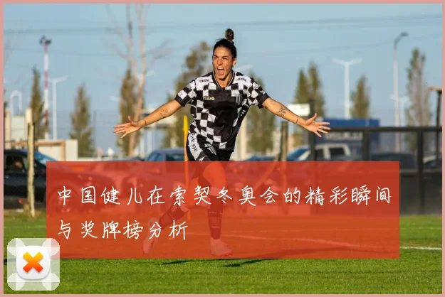 中国健儿在索契冬奥会的精彩瞬间与奖牌榜分析